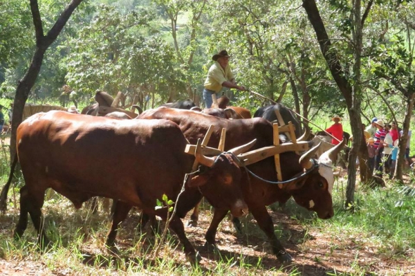 Fotos do município e da Câmara