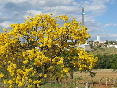 Fotos do município e da Câmara